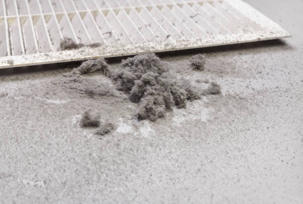 Best Duct Cleaning for Homes  in Maunawili, HI