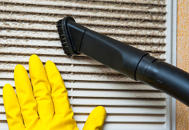 Best Affordable Duct Cleaning Services  in Maunawili, HI